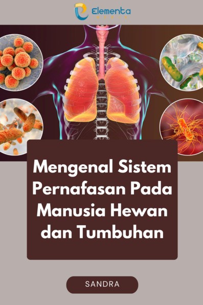 Mengenal Sistem Pernafasan pada Manusia Hewan dan Tumbuhan